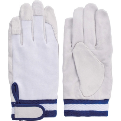 FUJI GLOVE 富士手套 5946-手套2-234得種子包2雙組